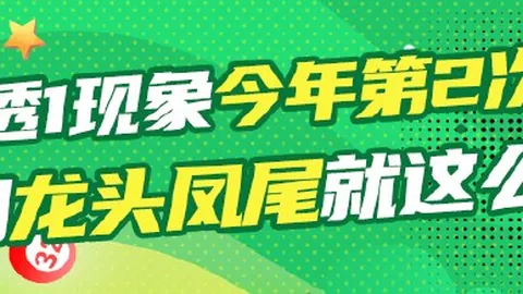 眼镜新宠： 隐私守护，499美元开启智能视界之旅